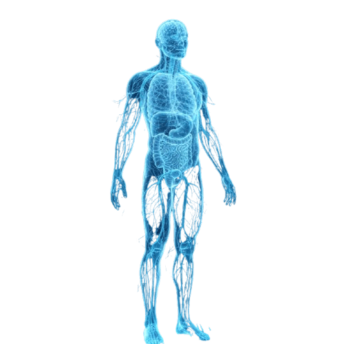 Test drugs on a human without touching a human.